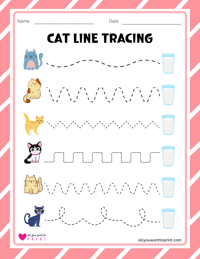 cat preschool line tracing worksheet